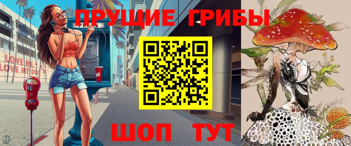 Псилоцибиновые грибы Psilocybine cubensis Стерлитамак