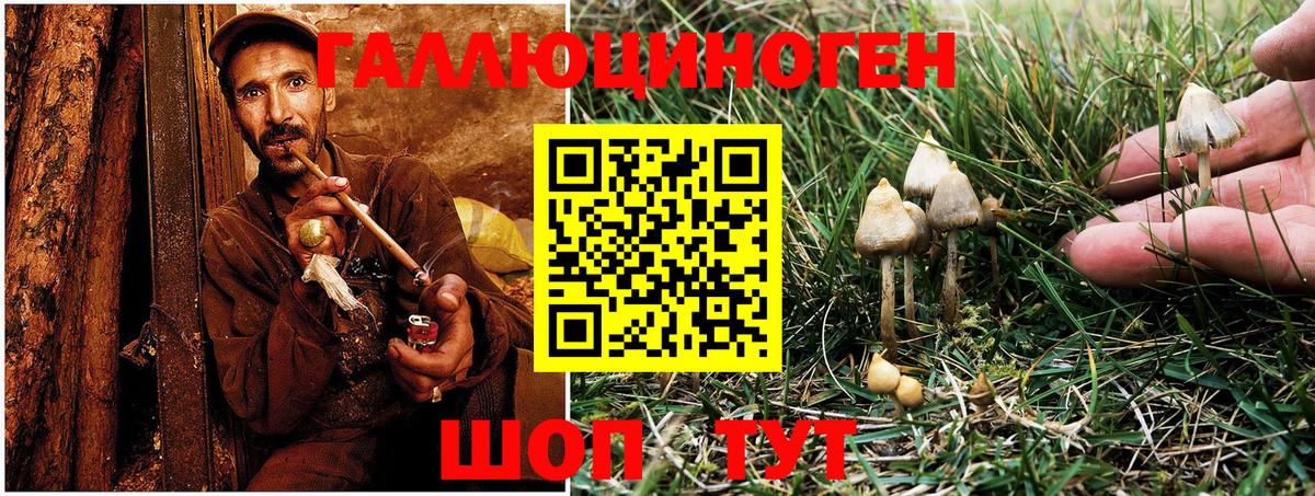 Стерлитамак  Псилоцибиновые грибы MAGIC MUSHROOMS  Галлюциногенные грибы Cubensis  закладка  Вход с VPN 
